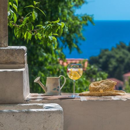 Villa Flores Garden Dubrovnik Eksteriør billede