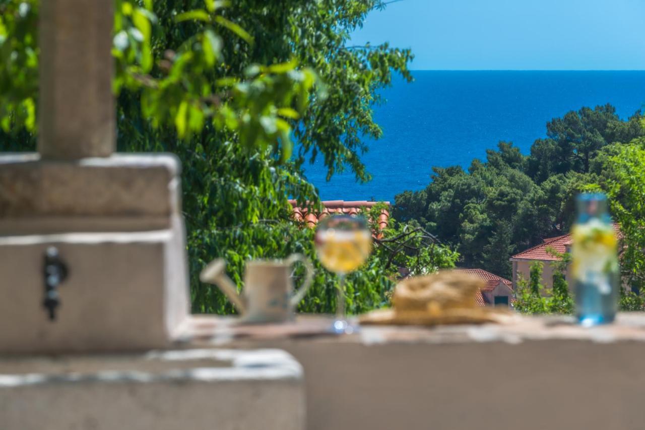 Villa Flores Garden Dubrovnik Eksteriør billede